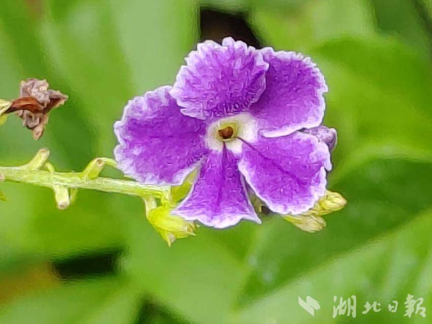蒙特卡罗十大赌城之一474